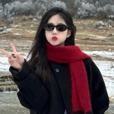 西莱克斯与城市